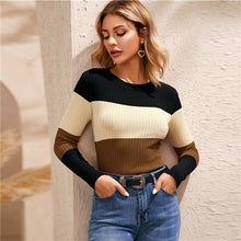 Load image into Gallery viewer, SHEIN Multicolor Colorblock Rib Knit Skinny Jumper Women Tops Winter Spring O-Neck Slim Fit Basic Casual Sweaters